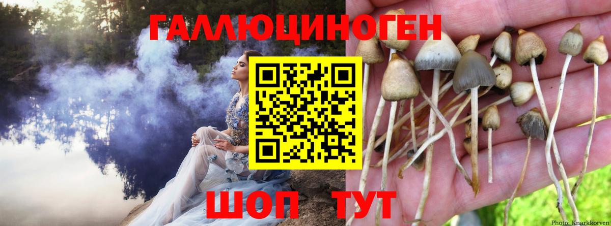Псилоцибиновые грибы мицелий  Вход с VPN  Кимовск 